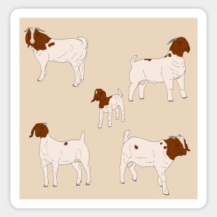 Boer Goats Pattern Cream Sticker